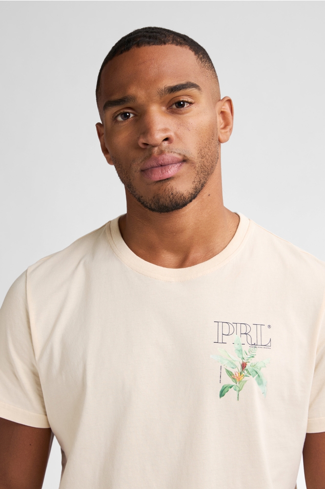BACKPRINT T SHIRT NAUTICAL WALK M 1050 TSR688 0112 Seashell